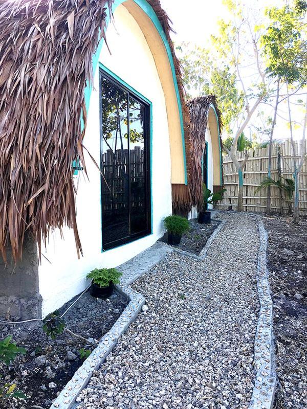 Shack & Cafe Hostel *